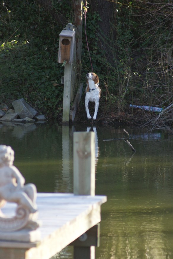 If only I could fly.