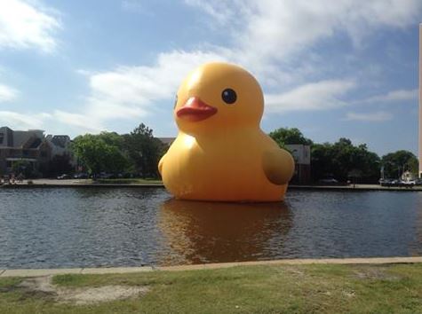 Rubber ducky